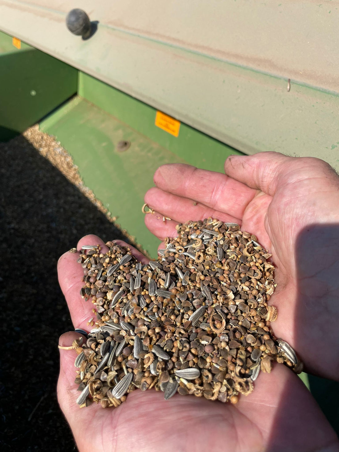 Die Aussaat ist erfolgt! 🌱🐝