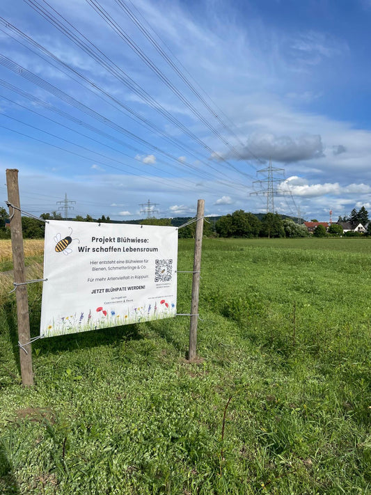 Das wächst auf Eurer Blühwiese!🌾
